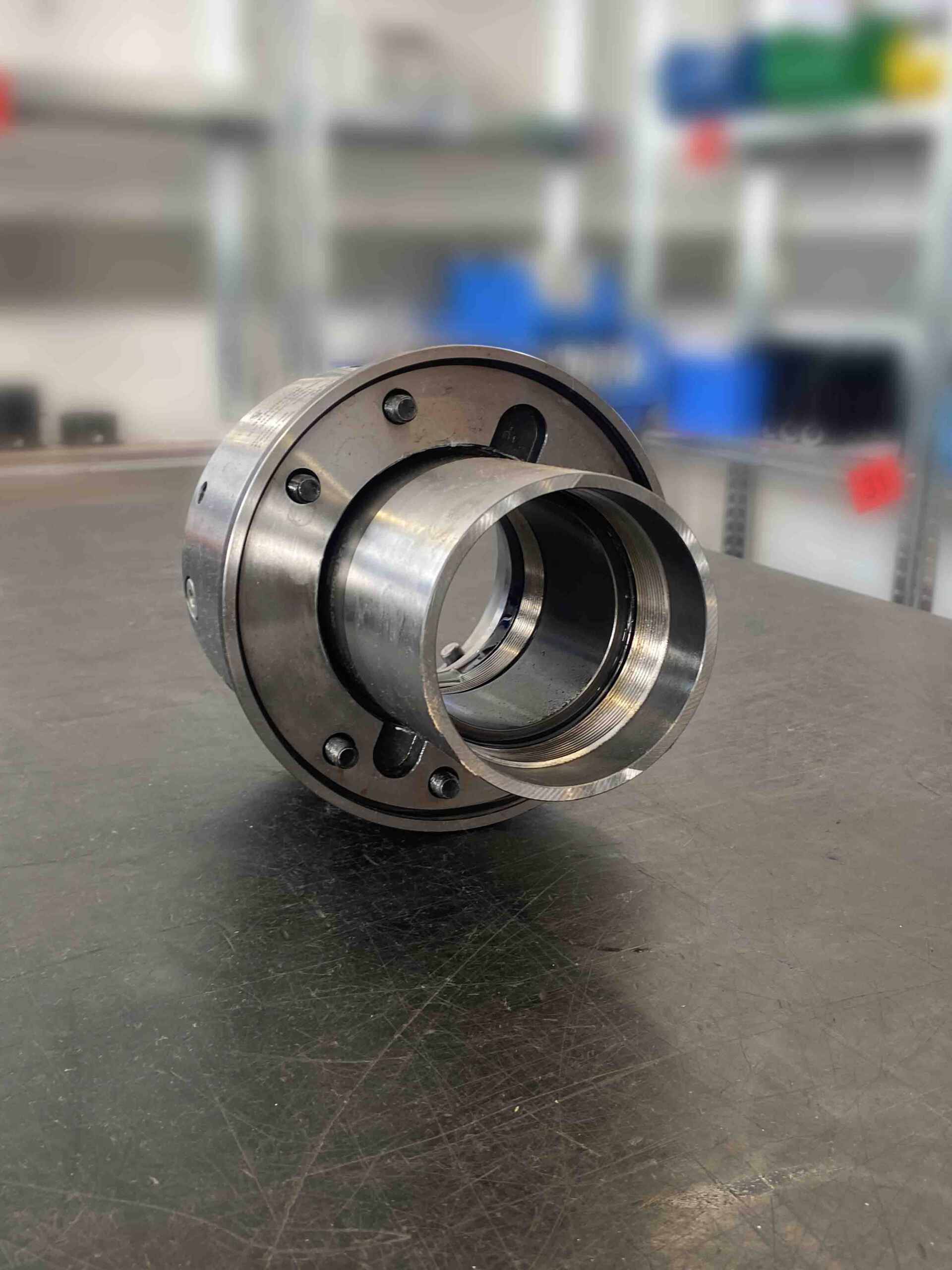 Hainbuch Spanntop SP.1118.00071.00 SA.081204.06 – Bild 2